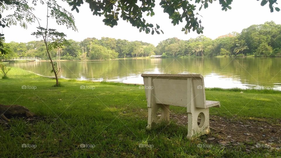Empty bench at lake side