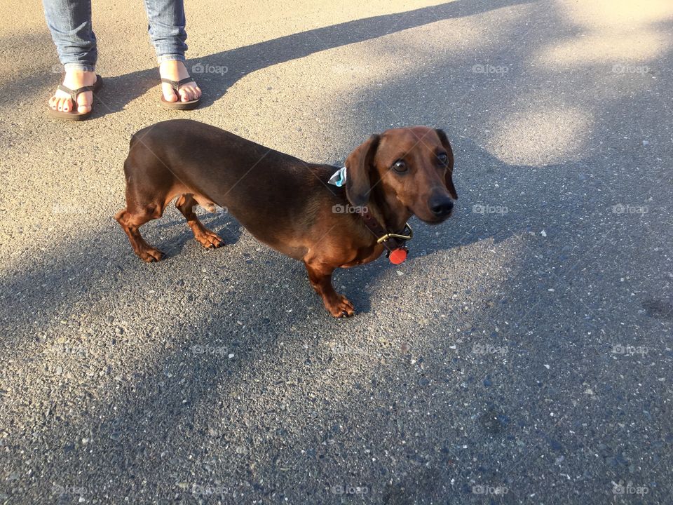 Slow walker  with a cute bow