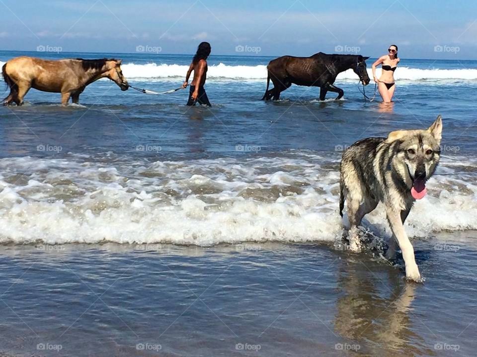 fun on the beach 