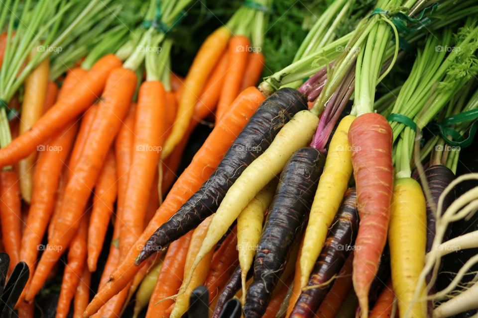 Carrots. Carrots