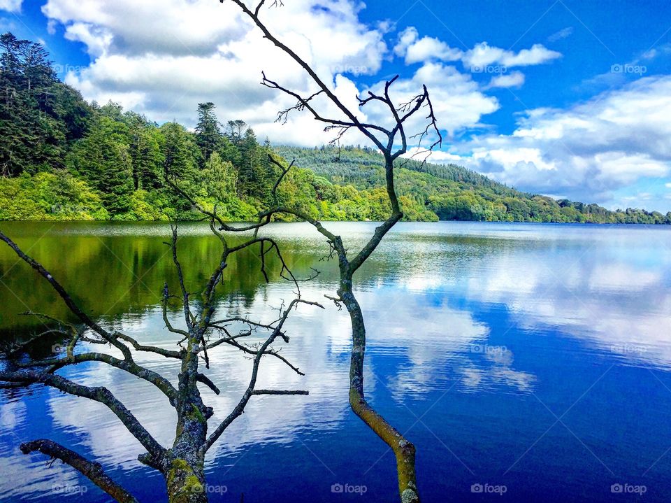 The most beautiful lake in the Castlewallen in Northern Ireland | stunning lake with beautiful blue lake | the deadwood right next to the blue lake with the most peaceful lake. 