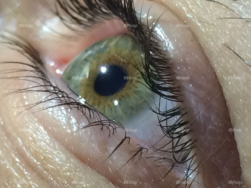 Close-up of green eyes