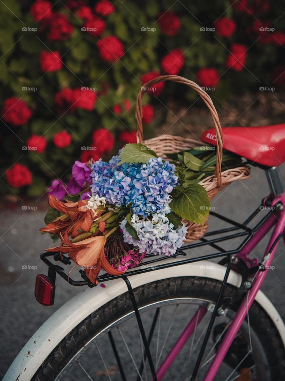 Colorful little paradise! Red geraniums! blue and pink hydrangeas! orange liliums, and green leaves with a lovely fragrance..