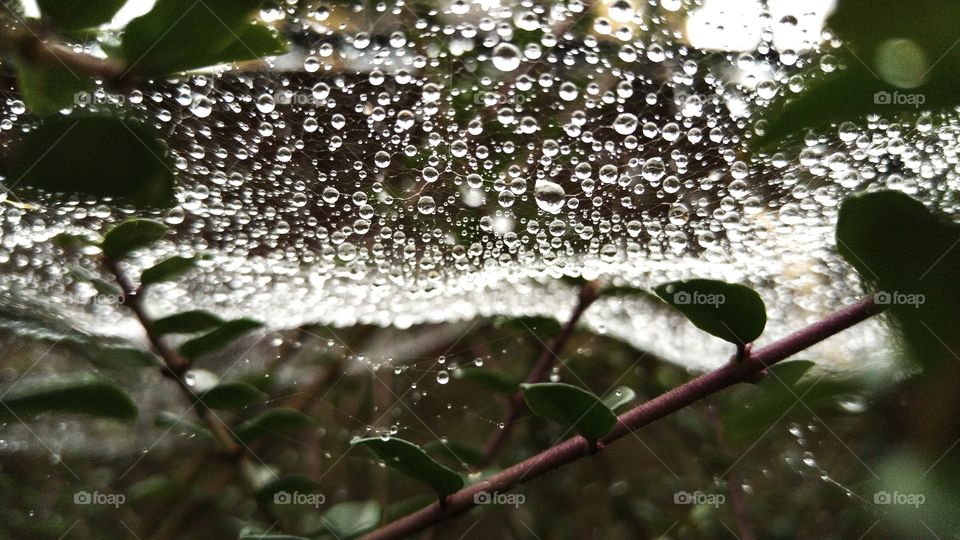 Raindrops keeps falling on my. everyday trip to the park with kids