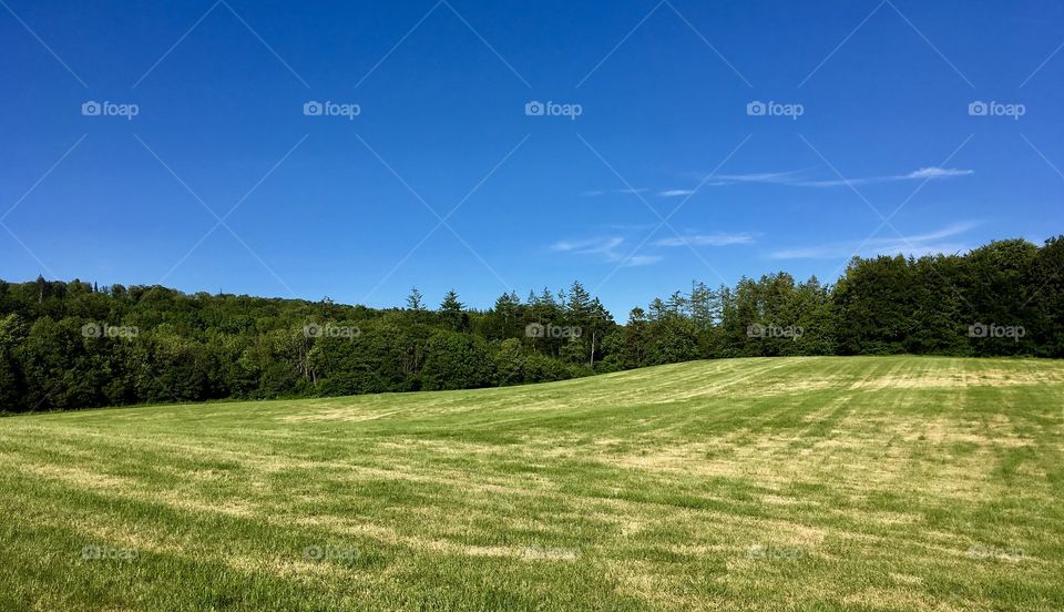 Skåne landscape.