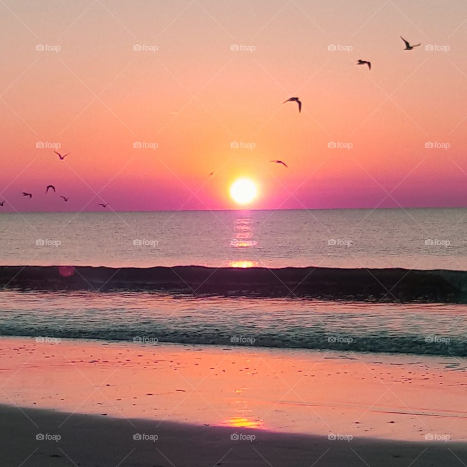 pink sunrise at the beach