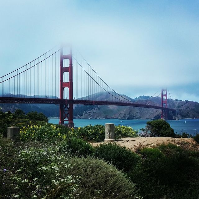 bridge