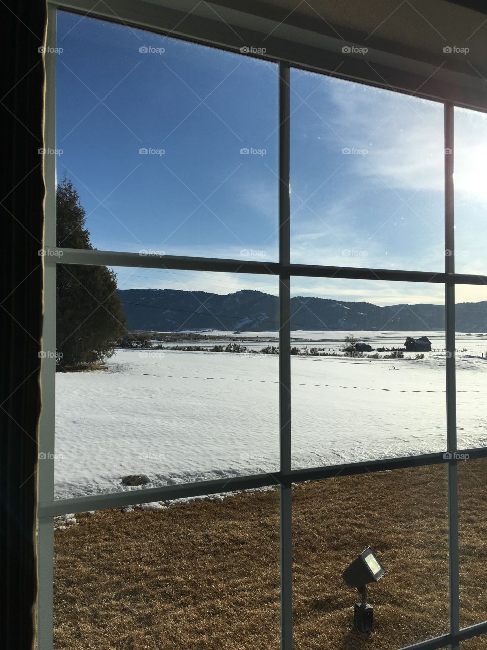 Looking out the window 