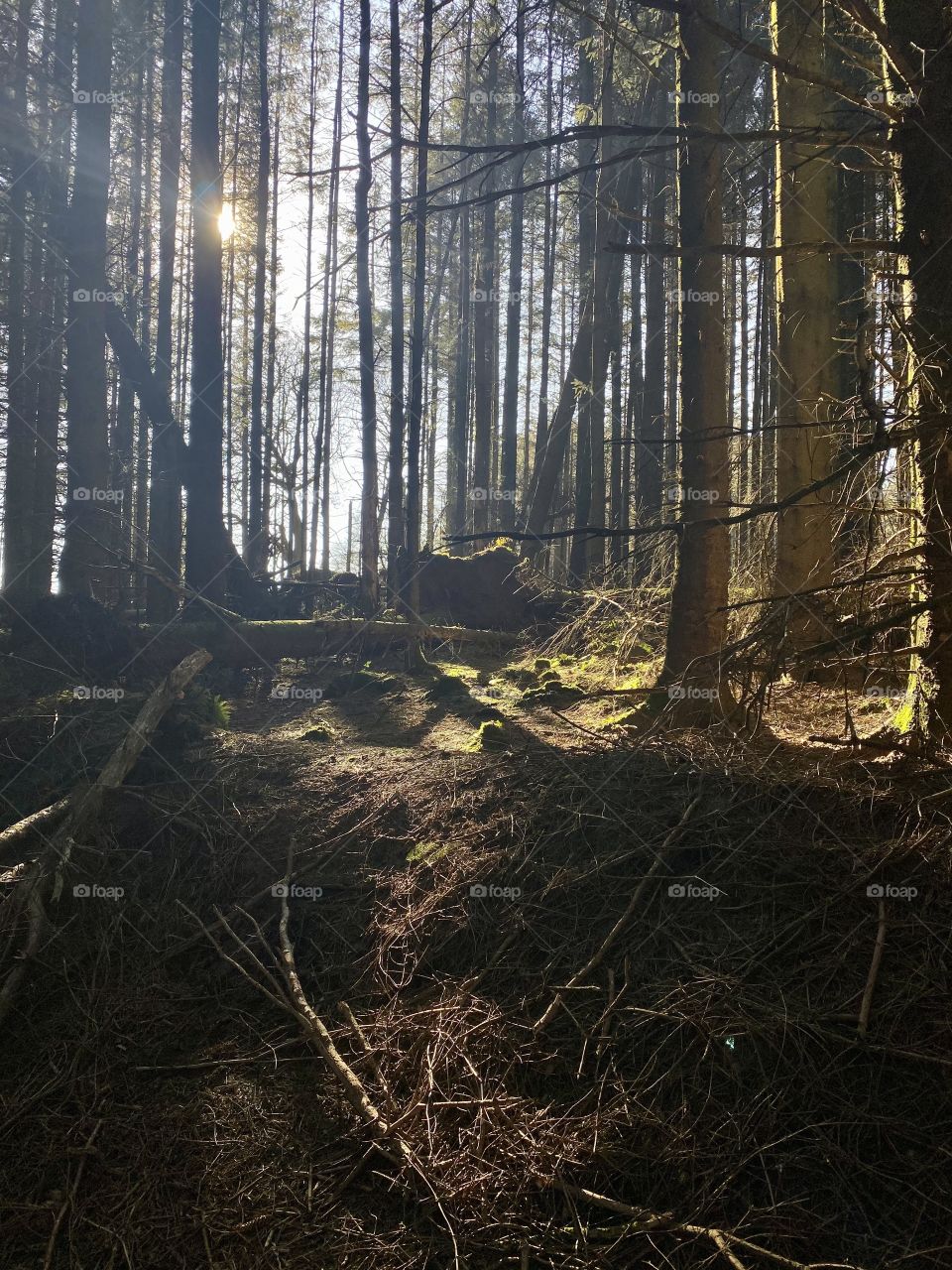 Let the light through.