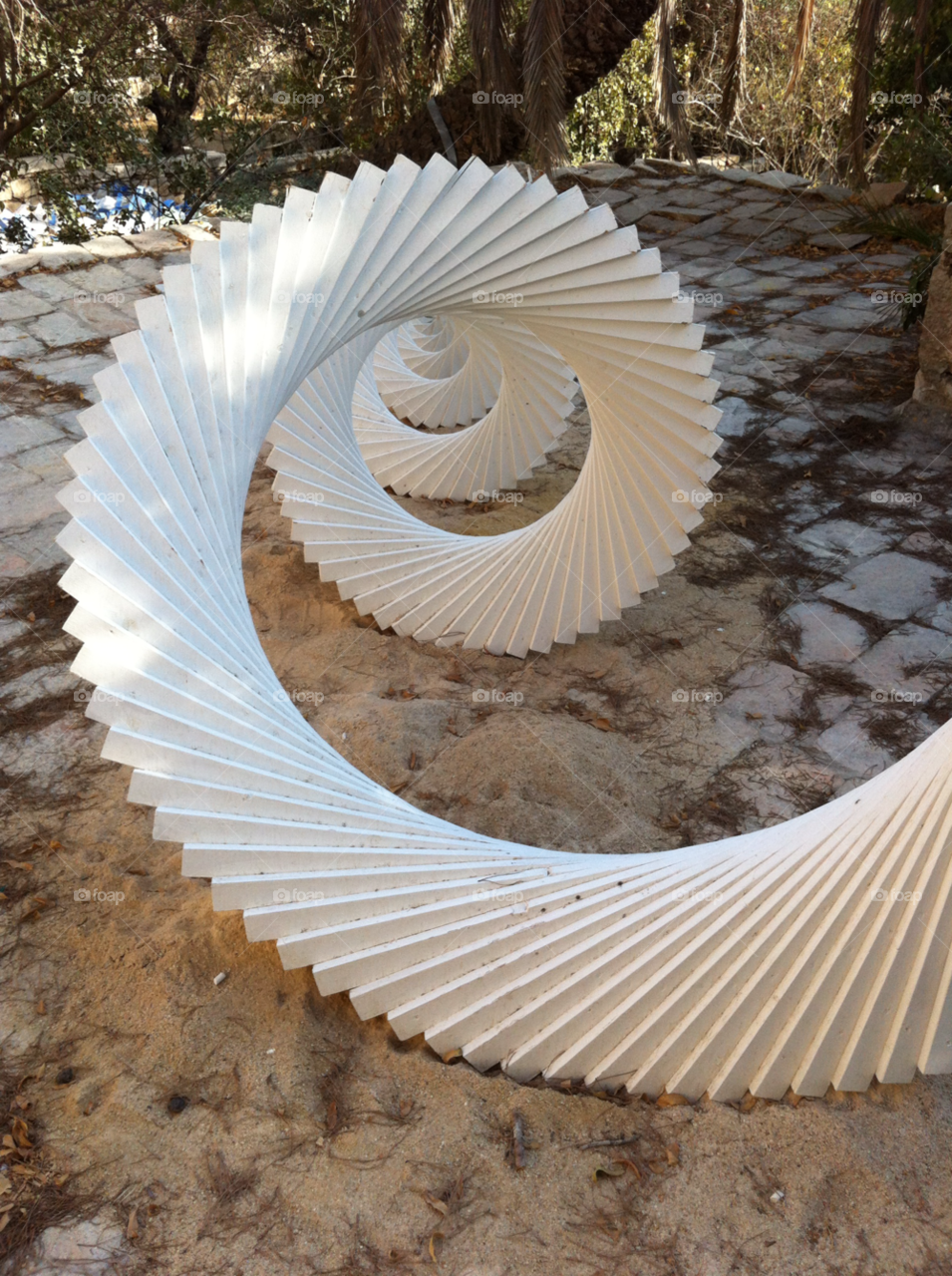 white statue spiral shell by barkai