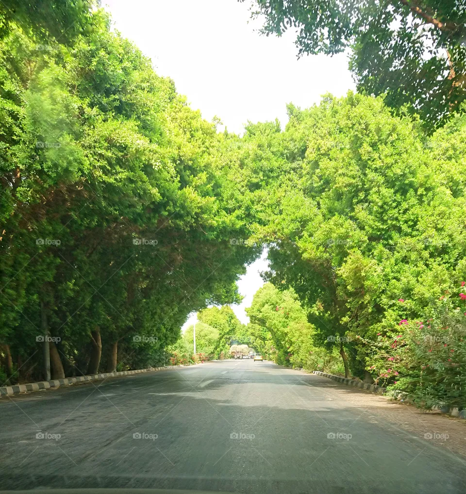 Luxor Road