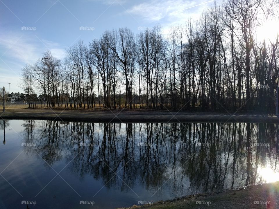 trees reflected in park lake