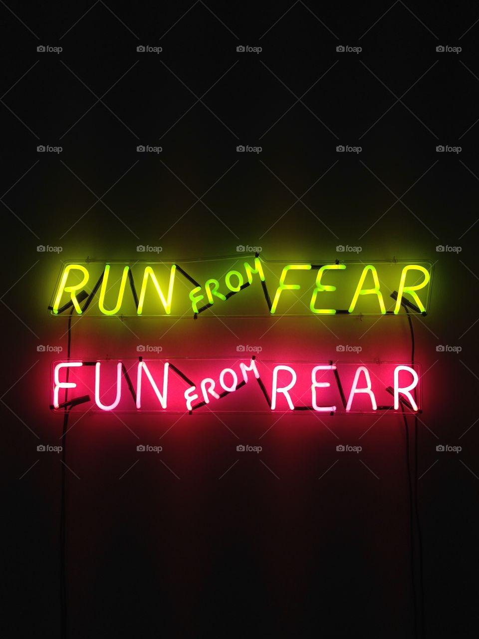 Run from Fear, Fun from Rear