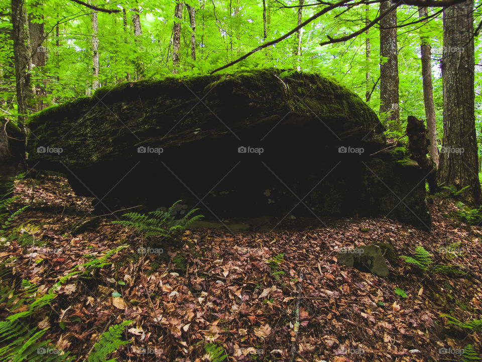 Arkville, New York, sun, sky, clouds, mountains, river, nature summer, top of the mountain , Landscape, view, panoramic view, forest, river, trees, wood, 