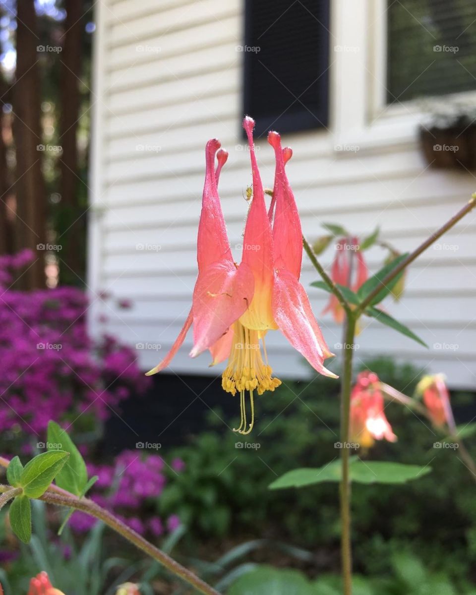 So fragile, yet so unbelievably beautiful.