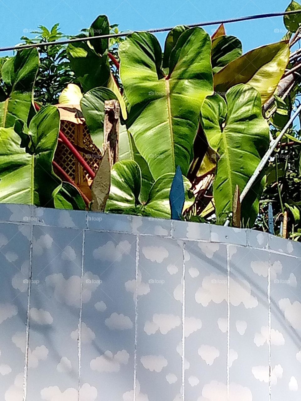 upload photo of the  Nature