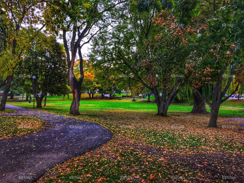 Fall walk in the park! 