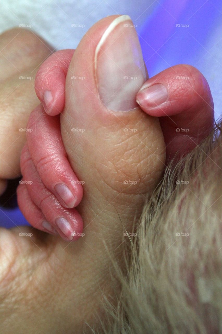 baby mother fingers newborn by Fotolunda