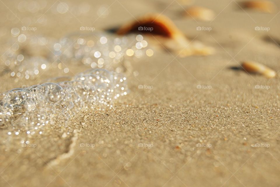 Ocean foam and sea shells