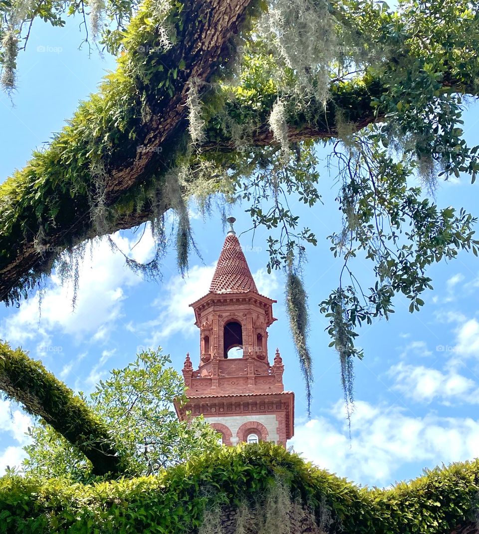 Trees, tower, blue sky
