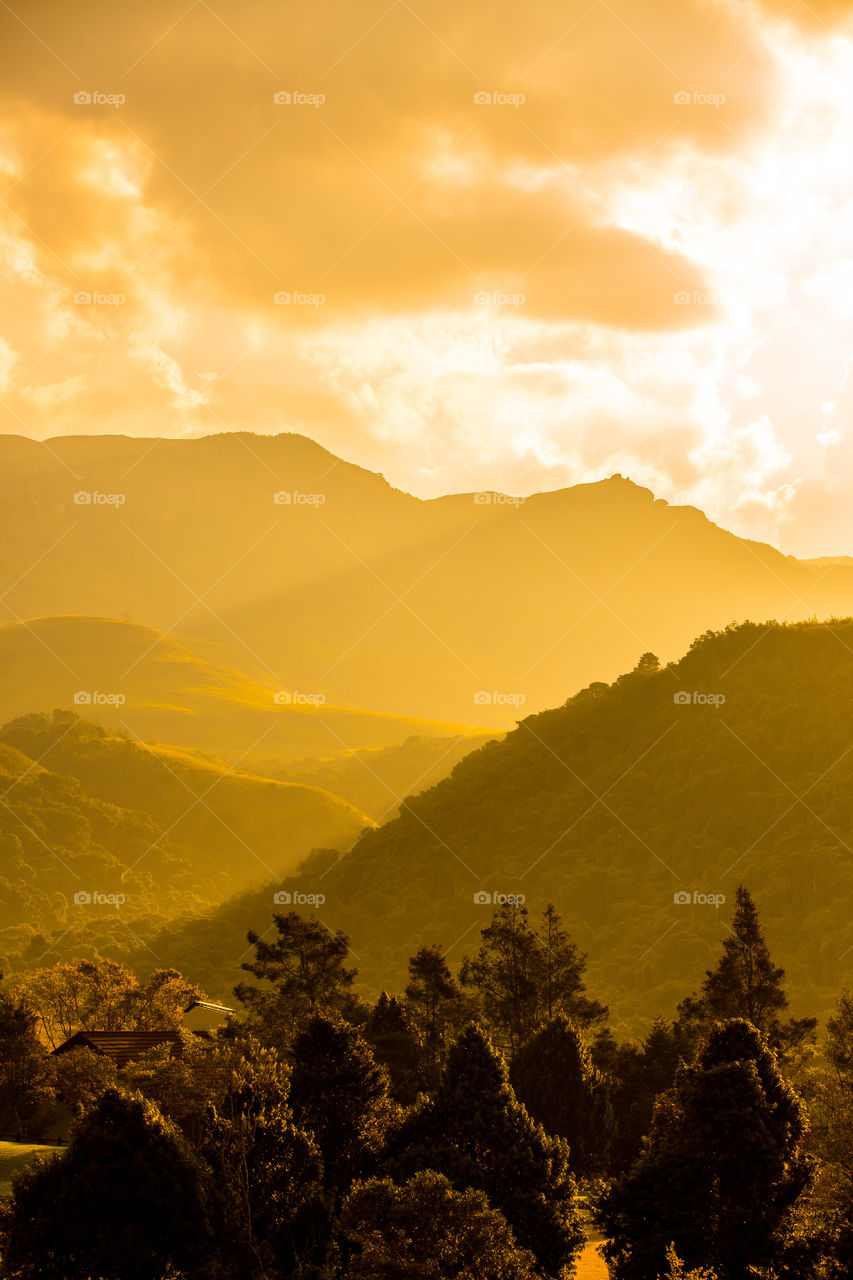 Sunset with golden rays and clouds shining over the mountains and valleys. Highlights on the trees. Heavenly golden!