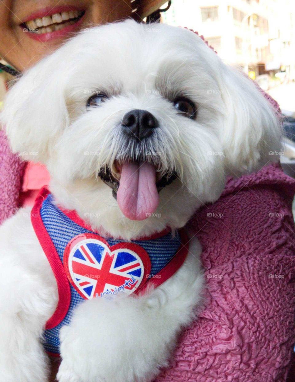 Selfei time!: A cute dog's son. happy look!