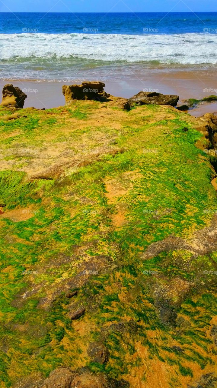 Green Moss Covered Rocks. Green moss covered rocks at Heisler park