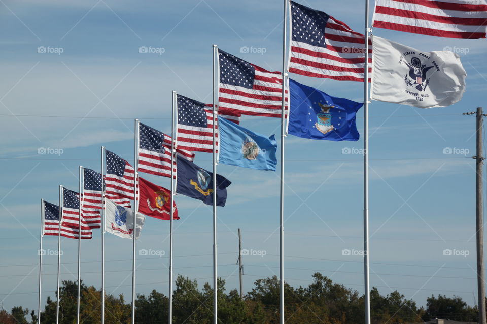 American and Various Other Flags