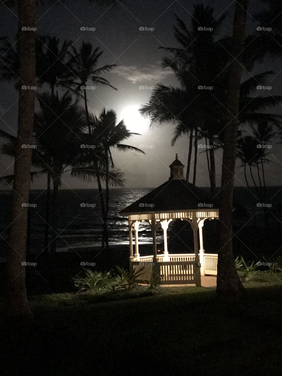 Last night in Kauai! This is one of the best pictures I’ve taken. Shows the moon, the ocean, and this well lit gazebo. It’s actually a color photo, just looks black and white.
