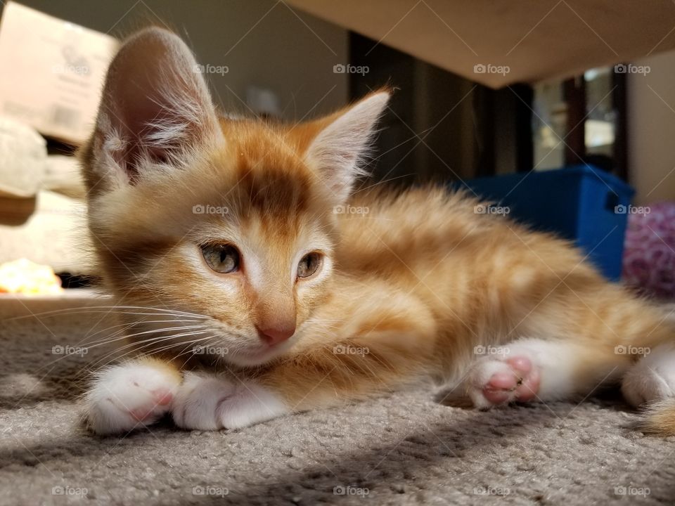 I am trying to be moody, is it working????