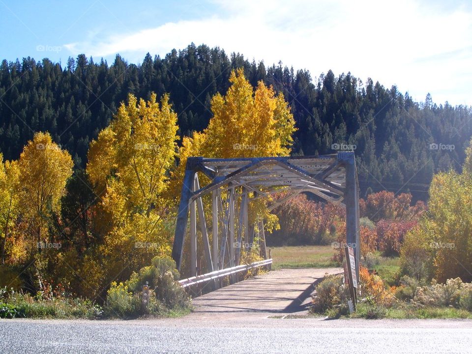 Fall bridge 
