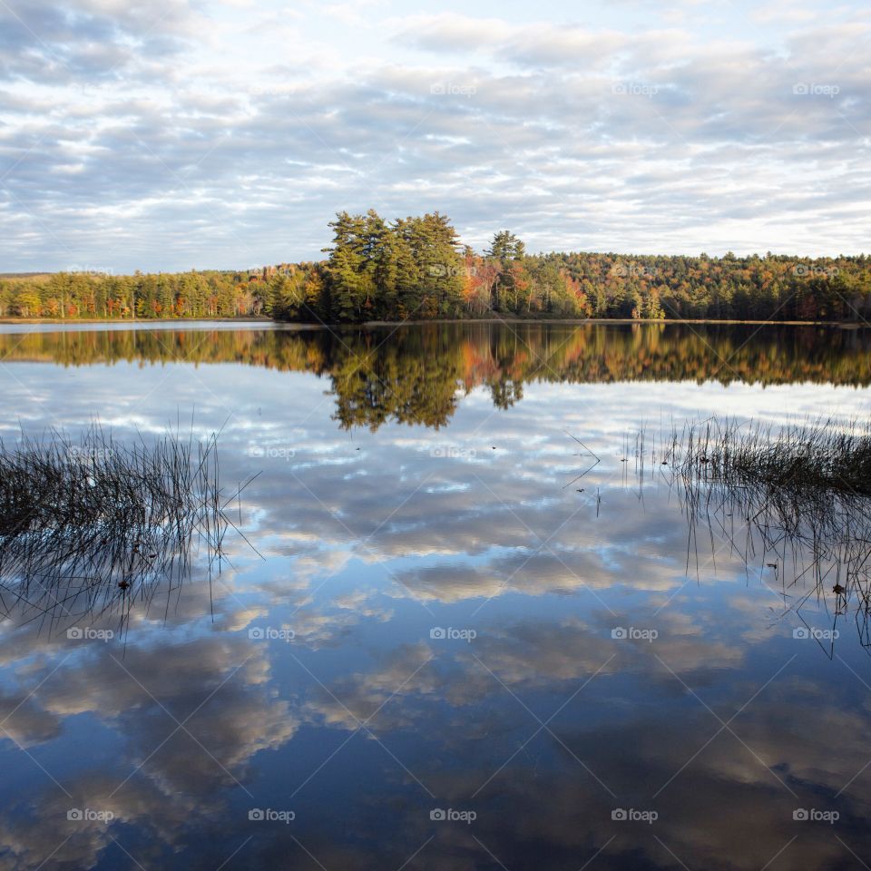 Maine