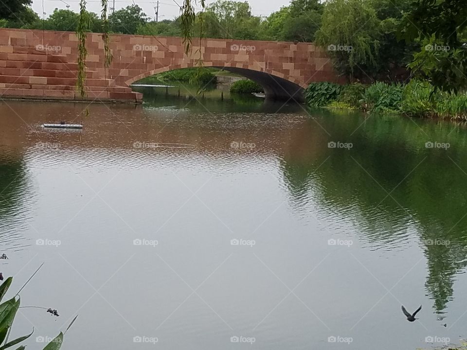 Pond by Mueller rd near Airport blvd Austin