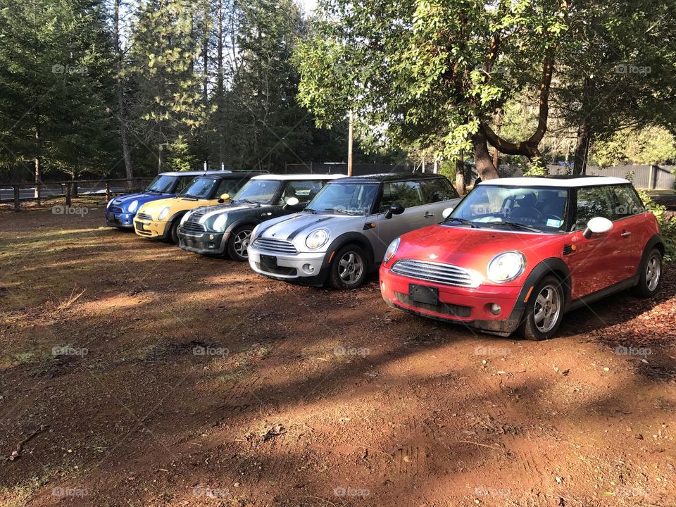 MINI Coopers in a row