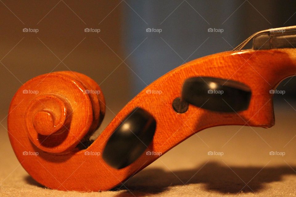 Closeup of Violin head with tuning pegs and curly end warm reddish wood shadow on cream colored   Ground