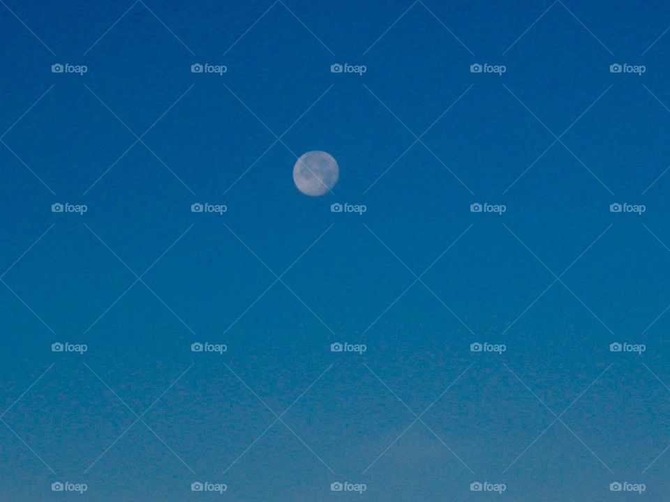 Morning moon