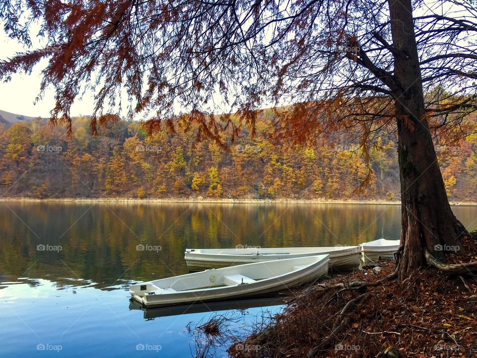 Two wooden white boats on the lake surrounded by forest of trees with yellow leaves
