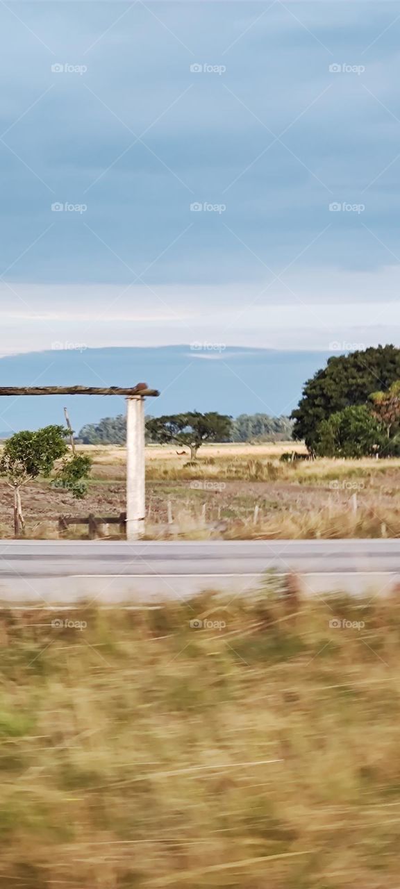 br166 south of brasil