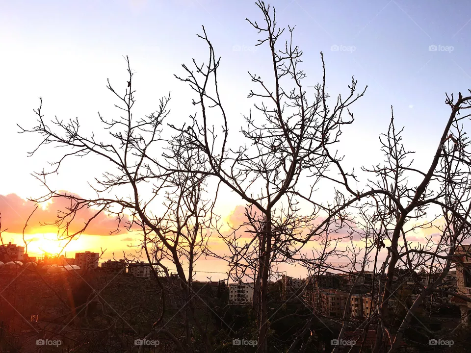 sunset