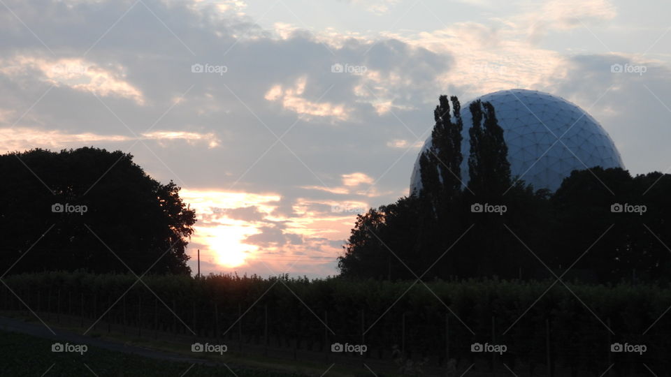 Die Sonne geht zwischen den Bäumen unter in Bad Godesberg (Astronomie Center)