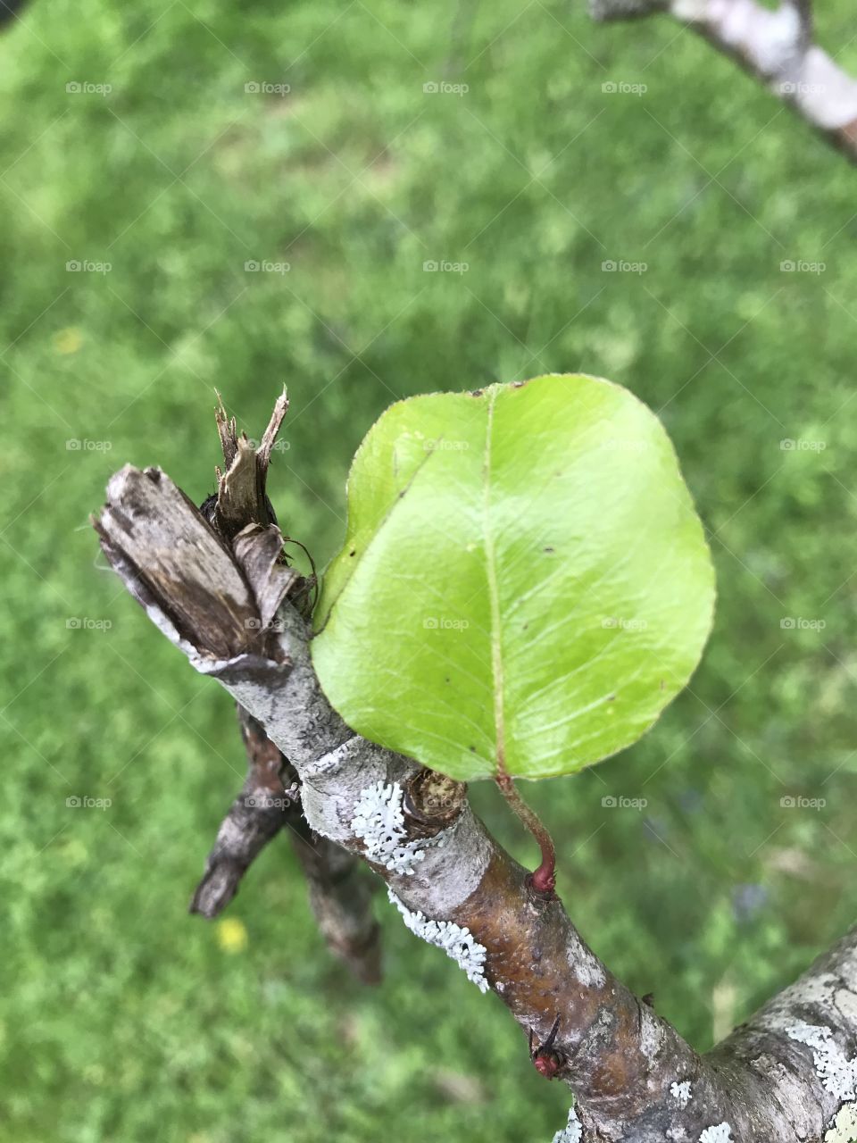 Focus on what’s growing around you. 