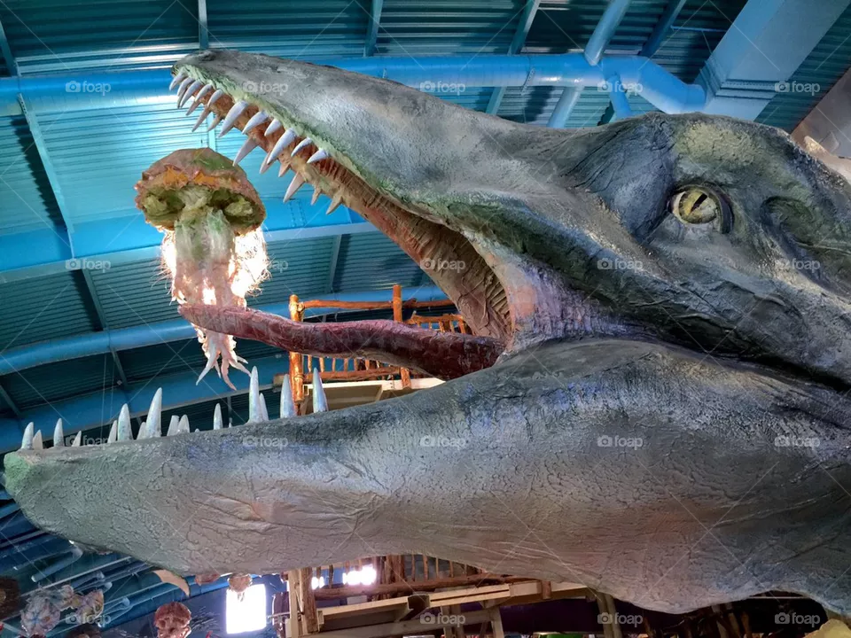 Dinosaur 