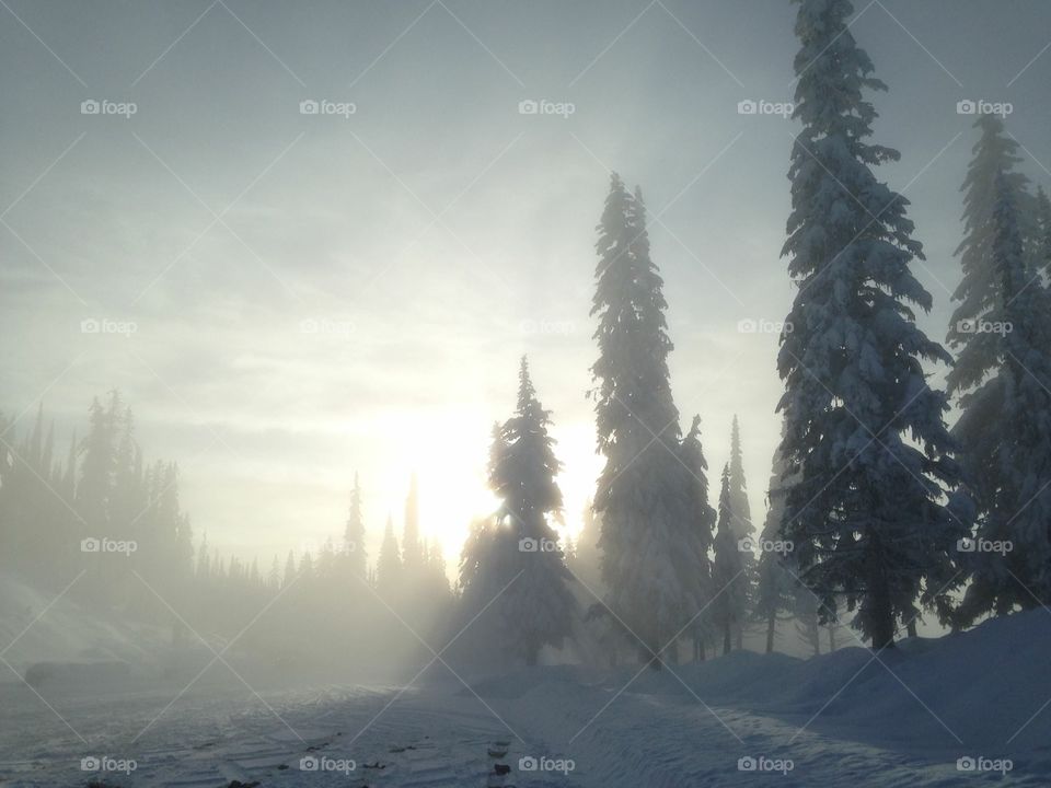 Foggy day in the mountains 