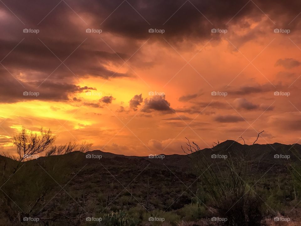 Desert Sunset Landscape 