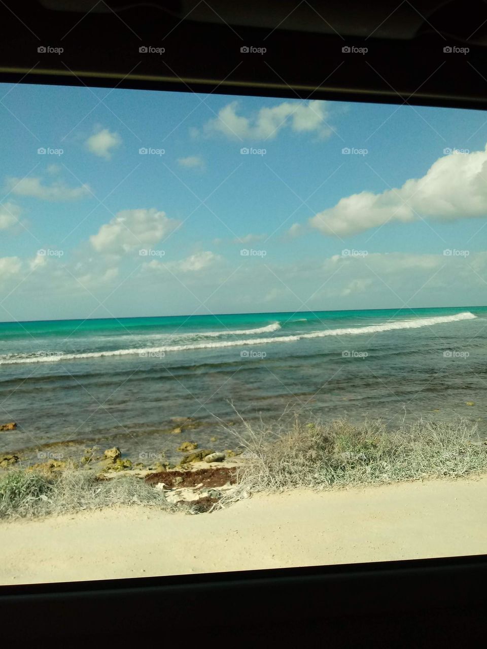 Dark beach water taken out of a moving car the aquamarine and dark green waves against the dried grass 