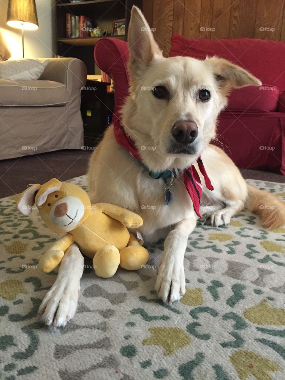 Simba and his toy bunny