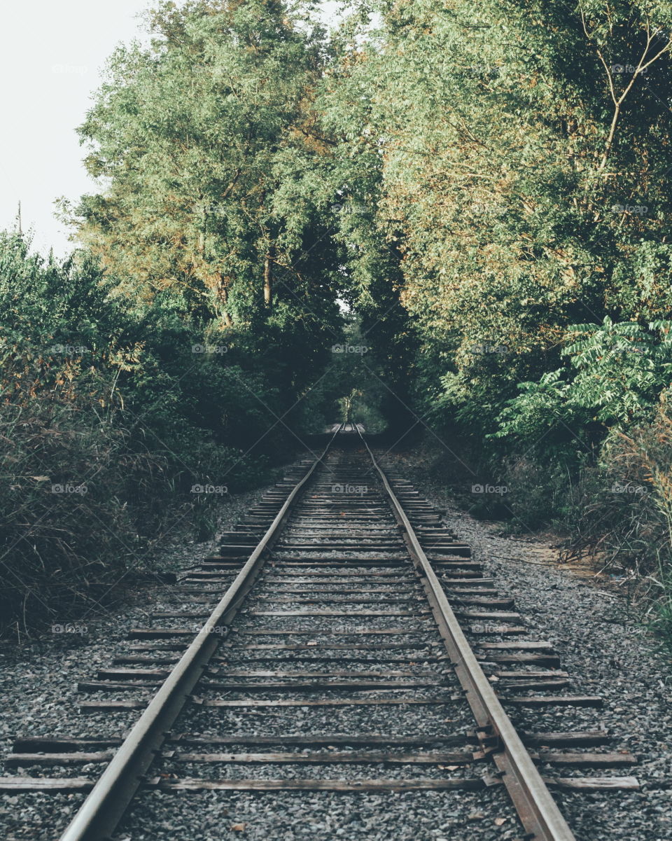 railroad tracks in Maryland