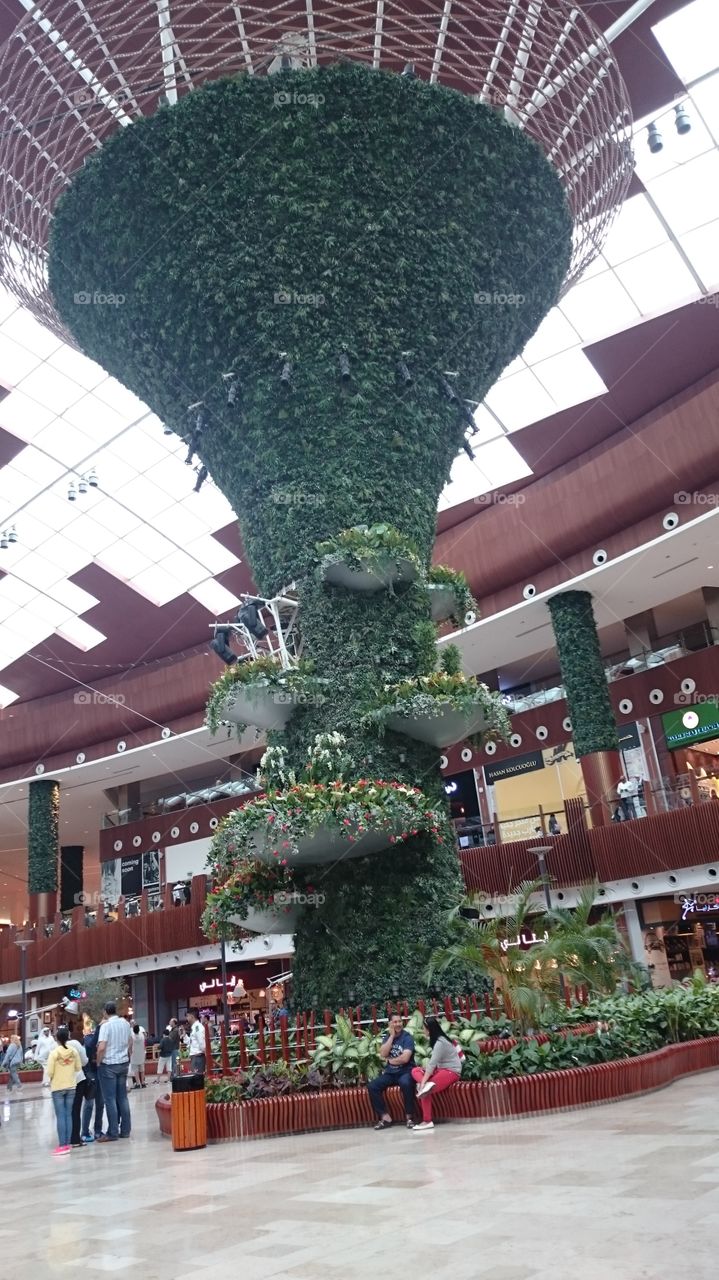 the evergreen craft in mall of Qatar