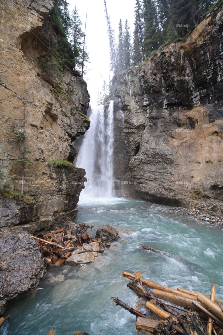 View of waterfall in forest