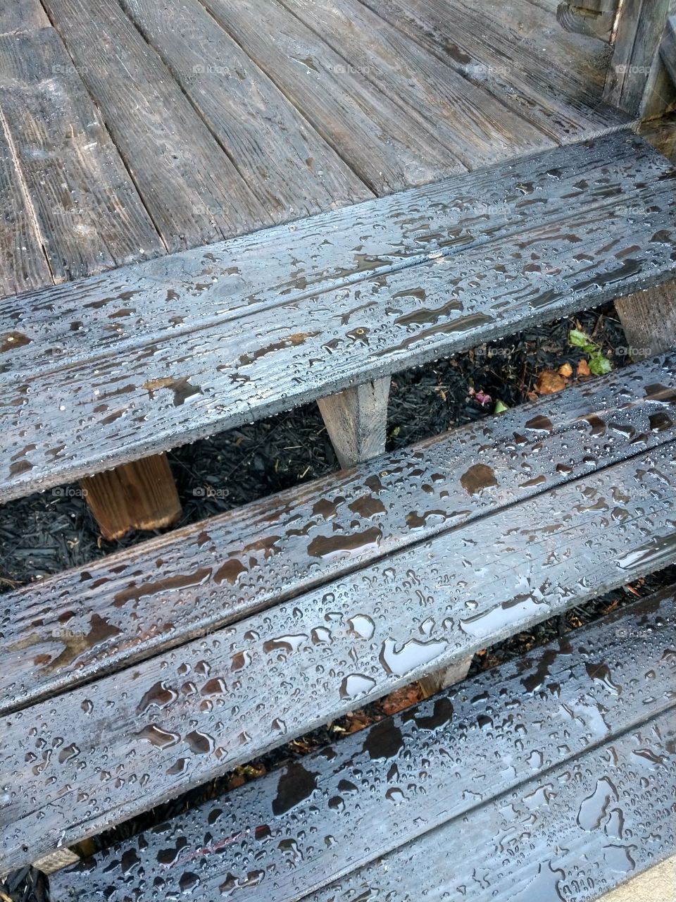 stained deck